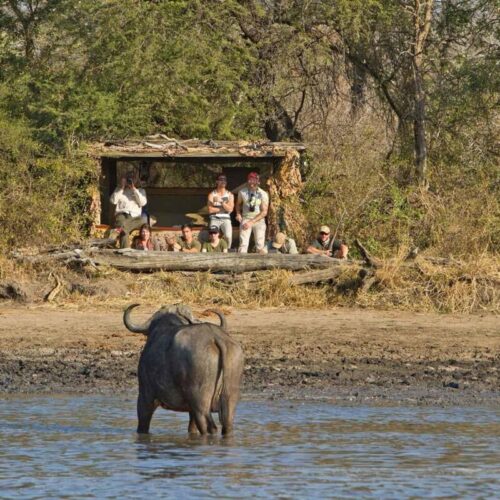 africaonfoot (3)