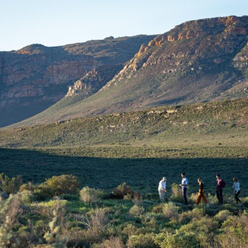 cederberg (1)